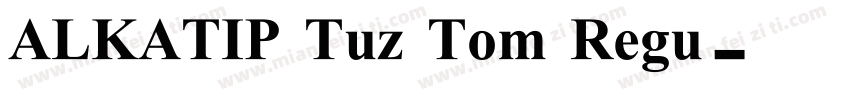 ALKATIP Tuz Tom Regu字体转换
